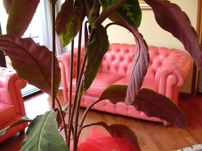 Waldorf Suite Hotel Rimini Extérieur photo